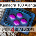 Kamagra 100 Ajanta 04
